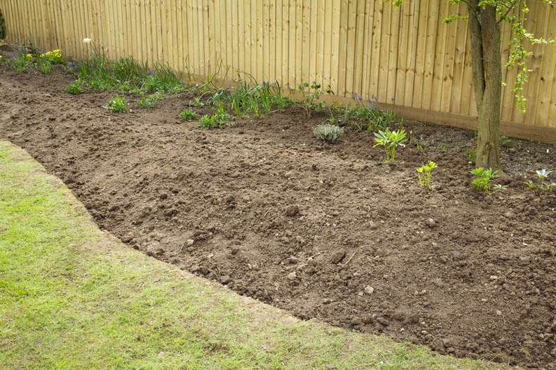Preparing a garden flowerbed for planting dug top soil